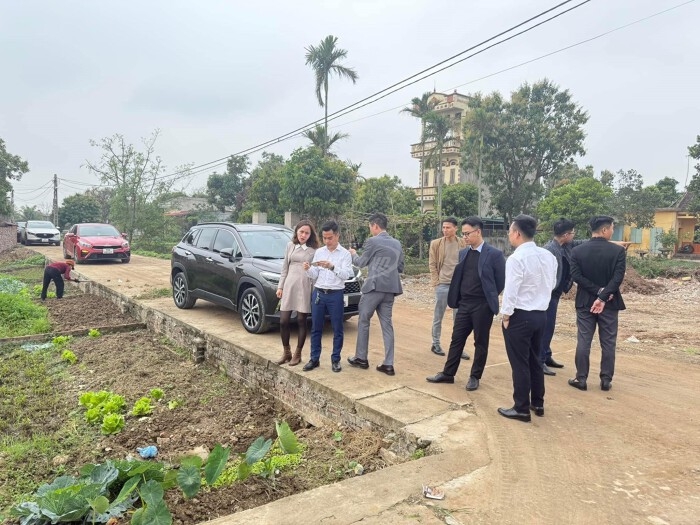 dẫn khách xem đất