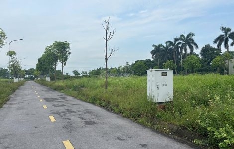 giao đất dịch vụ quốc oai