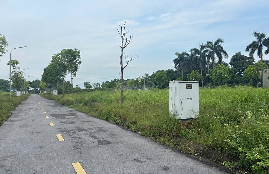 giao đất dịch vụ quốc oai