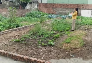 chuyển đất nông nghiệp