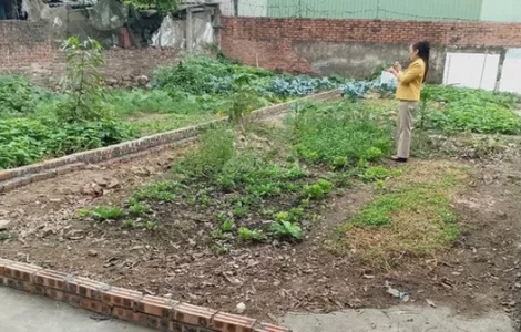 chuyển đất nông nghiệp