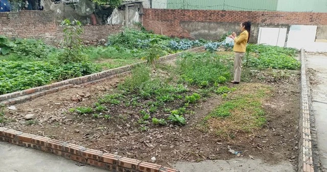 chuyển đất nông nghiệp