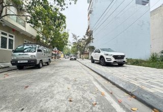 bán đất vệ lăng cây sung