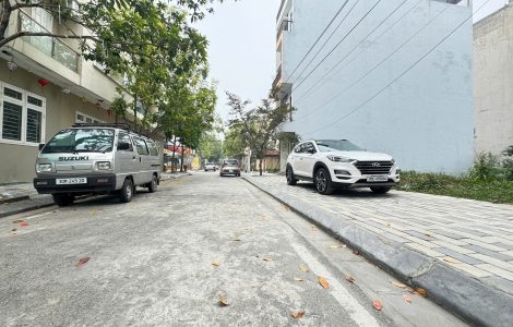 bán đất vệ lăng cây sung