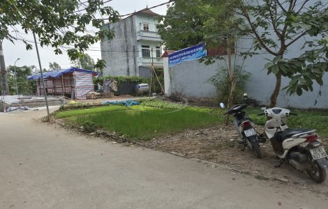 Bán lô góc đấu giá Yên Vĩnh