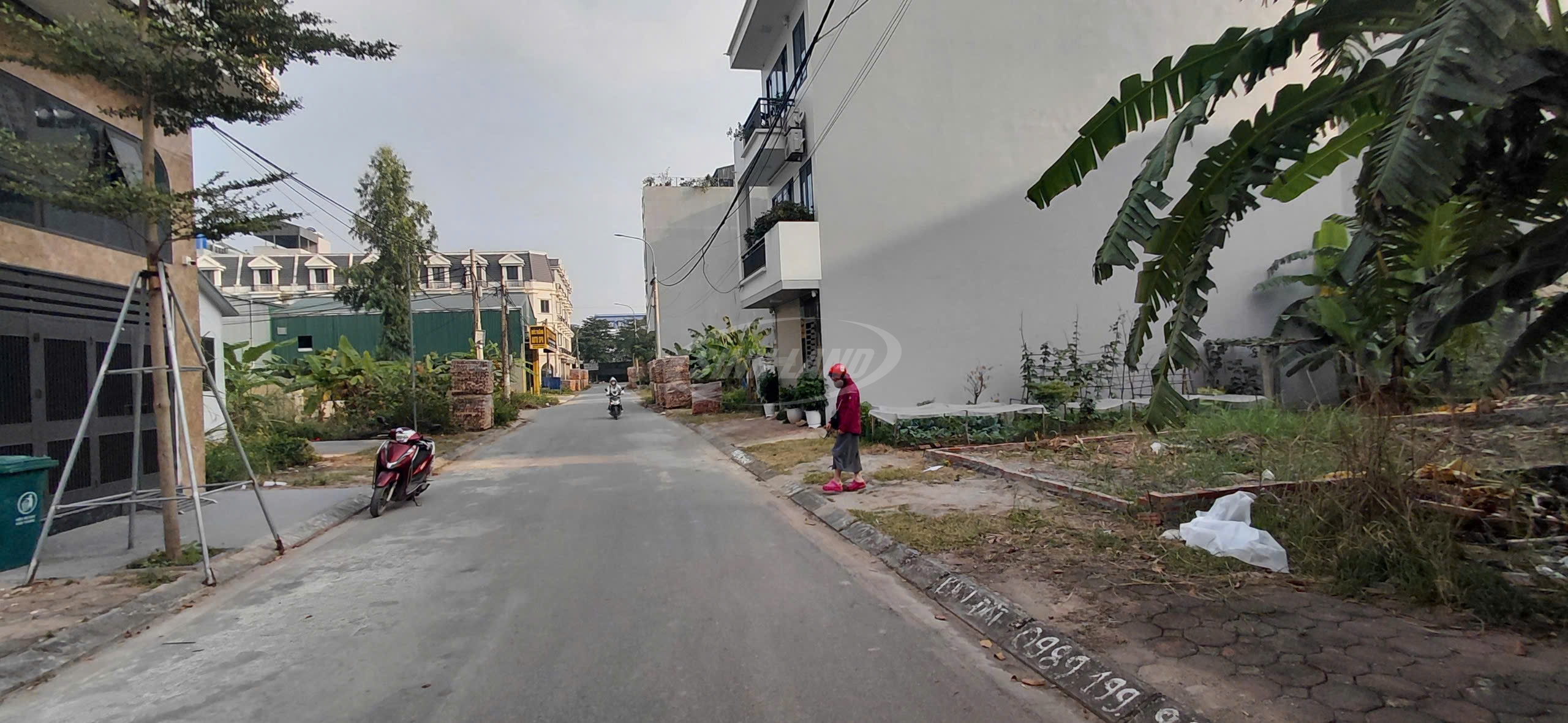 giới thiệu sinh land