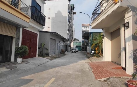 giới thiệu sinh land