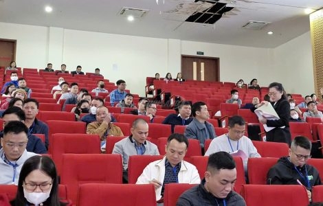 đấu giá đất xã quốc oai