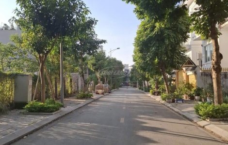 dịch vụ 5.5ha trạm trôi