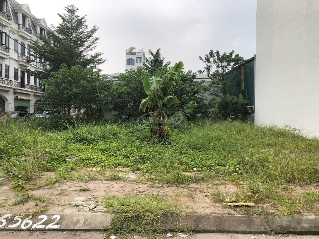 bán đất đấu giá lai xá đường 24m