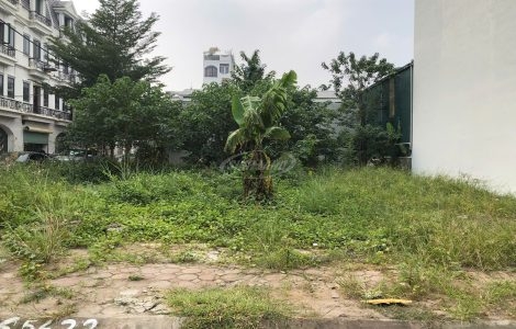 bán đất đấu giá lai xá đường 24m