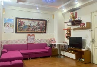 bán chung cư tân tây đô CT1B