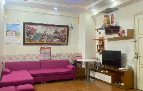 bán chung cư tân tây đô CT1B