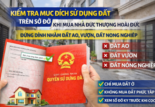 mục đích sử dụng đất
