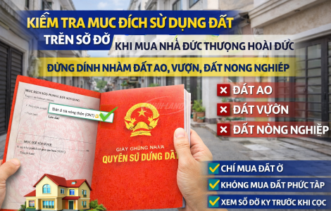 mục đích sử dụng đất