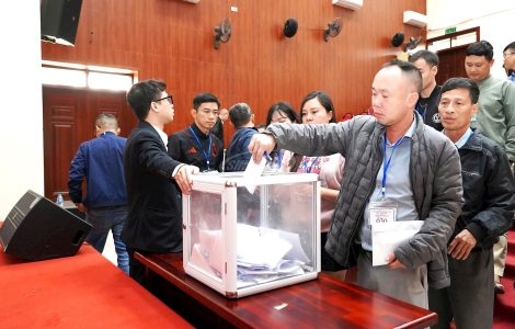 đấu giá đất xã quang minh