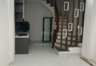 cho thuê nhà di trạch