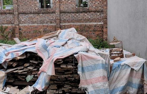 bán đất bãi thụy đồng tháp đan phượng