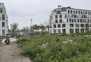 bán đất dịch vụ Di Trạch đường 24m