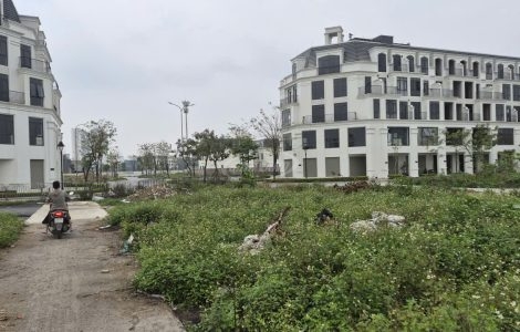 bán đất dịch vụ Di Trạch đường 24m