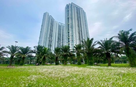 hạ lãi suất bất động sản