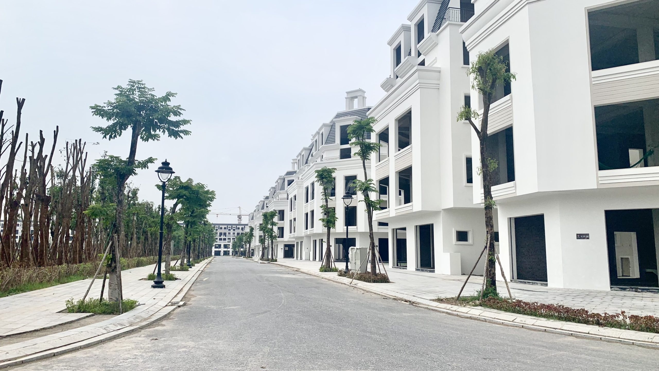 Môi giới liền kề biệt thự Hoài Đức