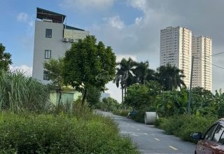 Bán đất khu 1.77 ha Vân Canh