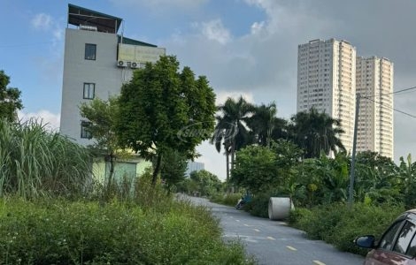 Bán đất khu 1.77 ha Vân Canh