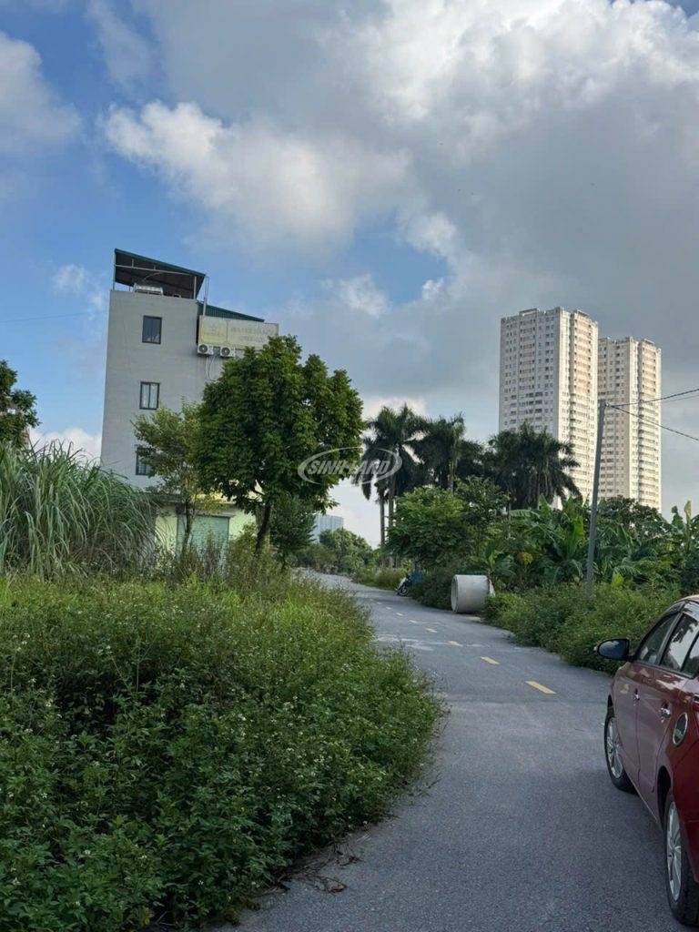 Bán đất khu 1.77 ha Vân Canh