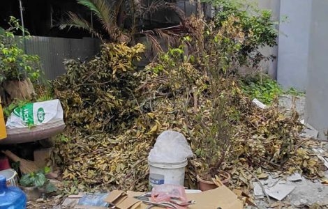 bán đất thổ cư lai xá giá tốt