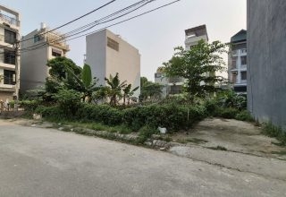 Đất dịch vụ Tân Tây Đô giá đầu tư