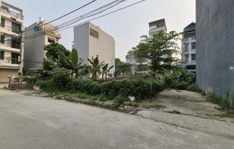 Đất dịch vụ Tân Tây Đô giá đầu tư