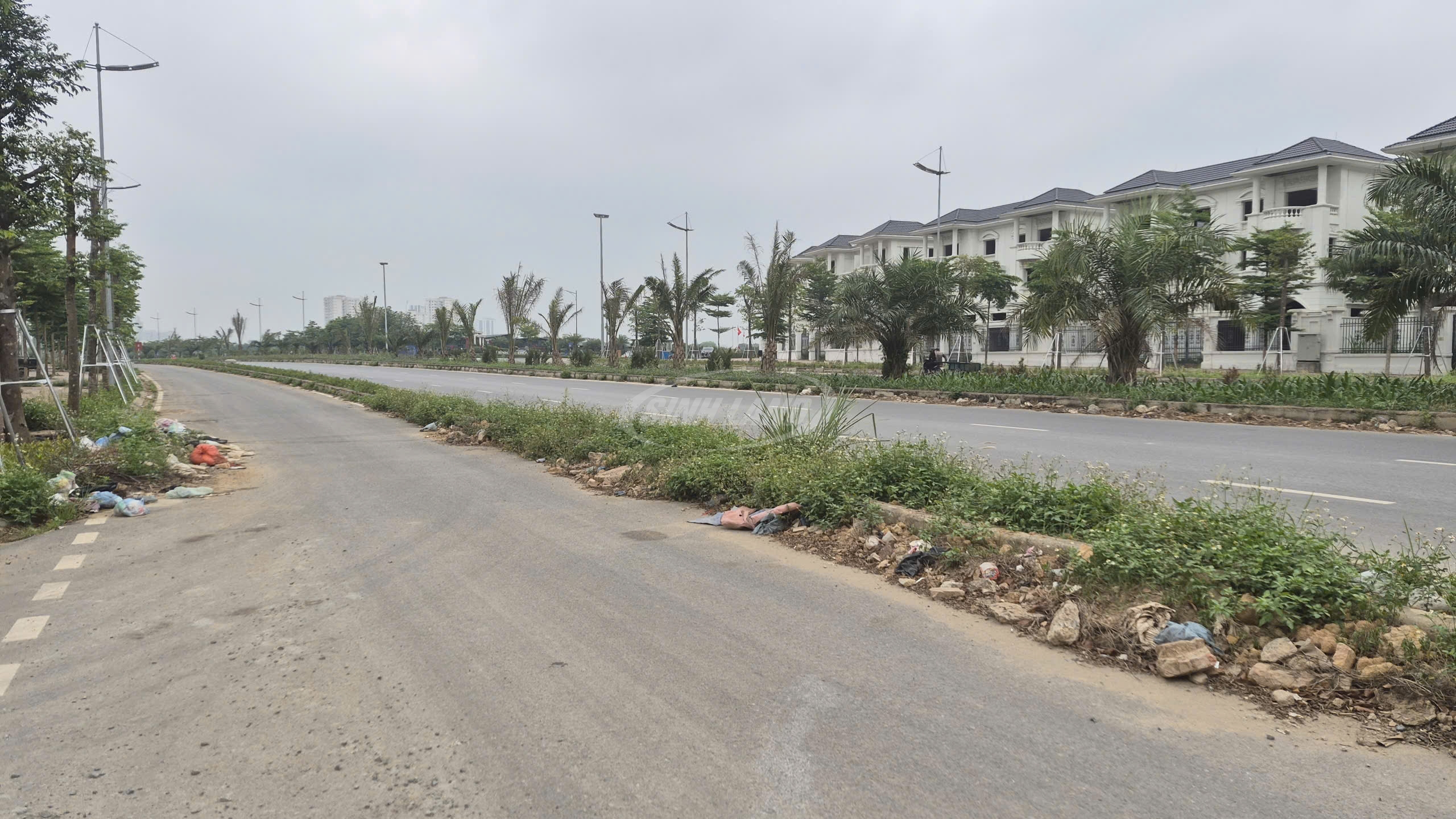 đất dịch vụ 4.5ha Vân Canh mặt đường 3.5