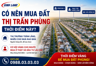 mua đất thị trấn phùng