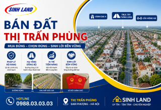 Đất Đấu Giá Thị Trấn Phùng