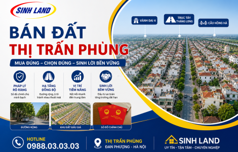 Đất Đấu Giá Thị Trấn Phùng