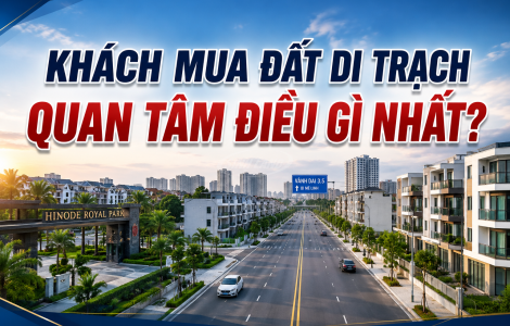 Khách Mua Đất Di Trạch