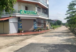 bán đất đấu giá đồng phươm phúc thọ