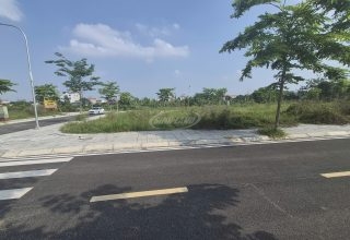 Đấu Giá Cát Hạ Tam Thuấn