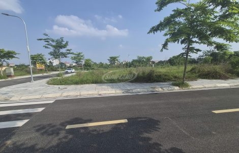 Đấu Giá Cát Hạ Tam Thuấn