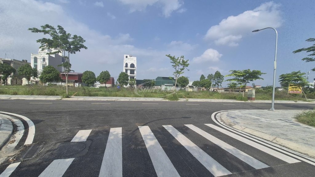 Đấu Giá Cát Hạ Tam Thuấn