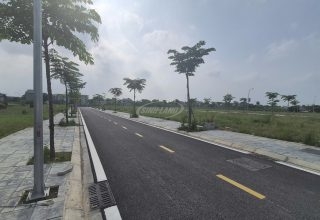 Đấu Giá Cầu Lọc Hát Môn