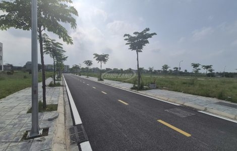 Đấu Giá Cầu Lọc Hát Môn