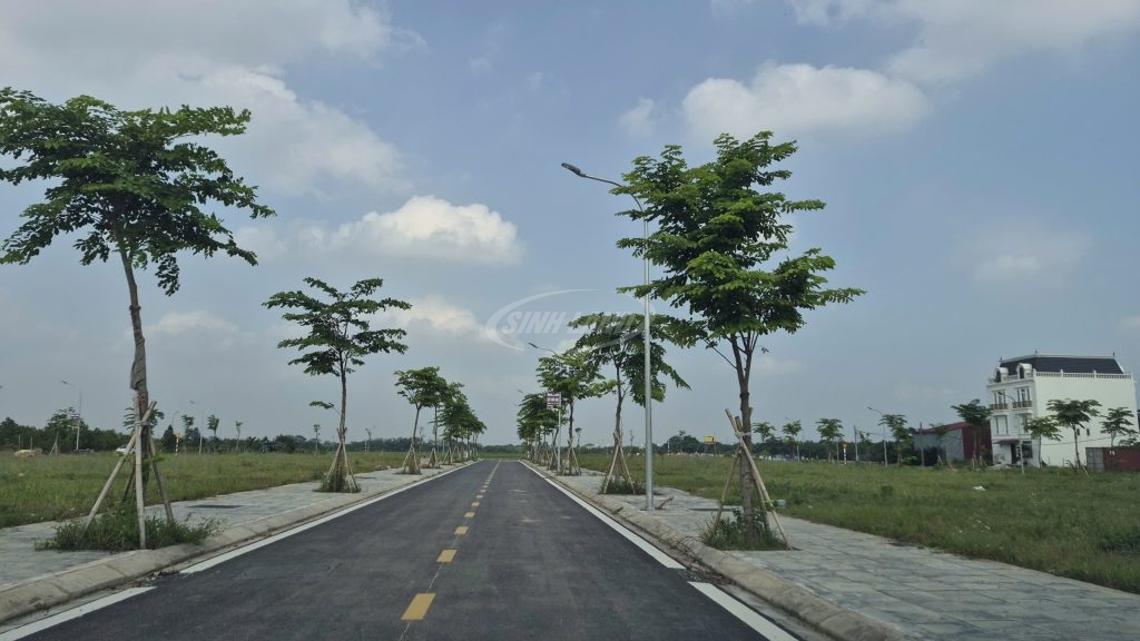 Đấu Giá Cầu Lọc Hát Môn