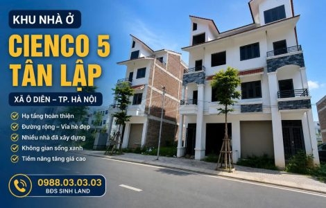 Giá Nhà Liền Kề Cienco 5 Tân Lập Tháng 6/2026