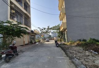 đất dịch vụ lai xá nên mua ở hay đầu tư