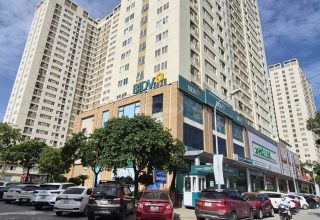 giá chung cư Tân Tây Đô tháng 6/2026