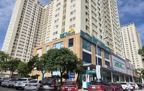 giá chung cư Tân Tây Đô tháng 6/2026