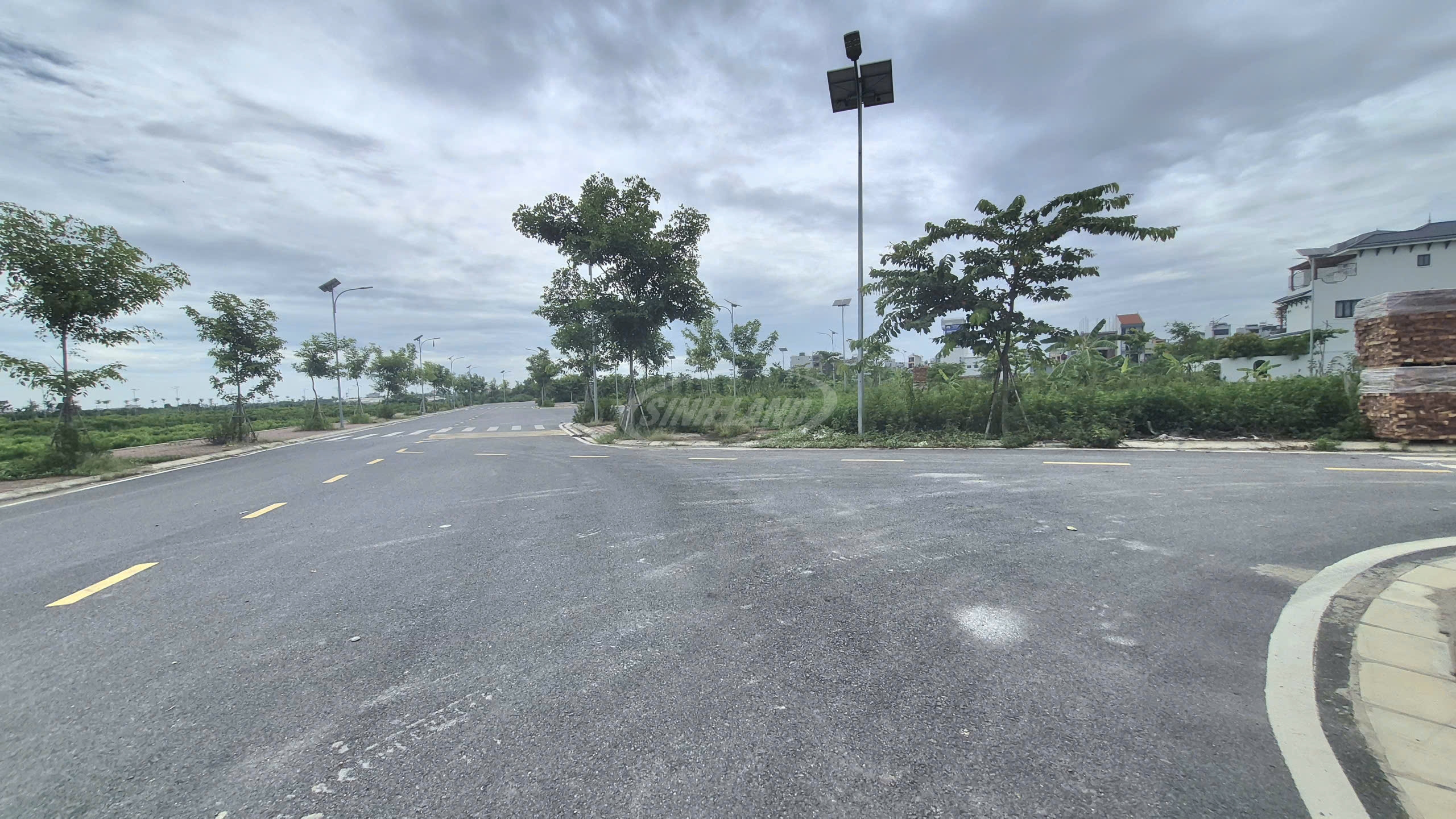 Khu đồng Sậy 5