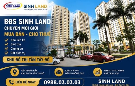 môi giới tân tây đô